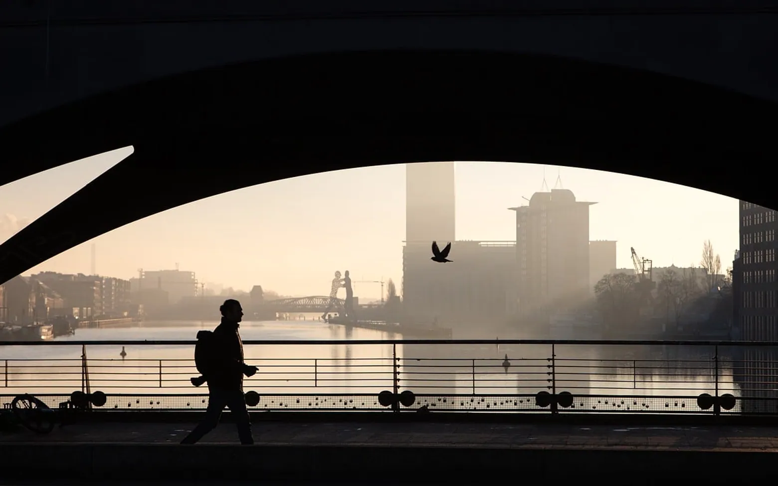 City, bridge and cityscape