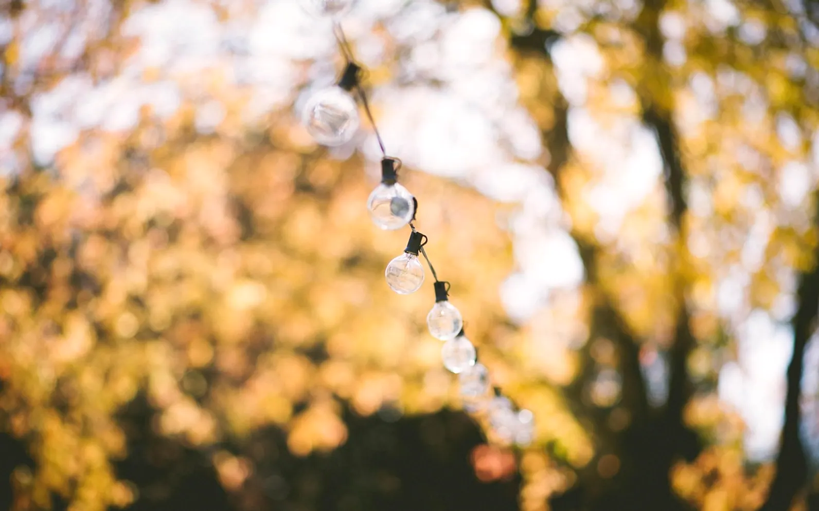Depth of field, light bulbs and string